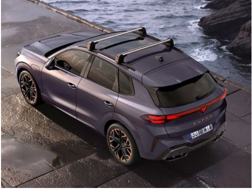 Cupra Terramar Roof Bars