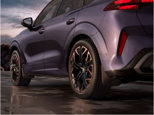 Cupra Terramar Front Mudflaps