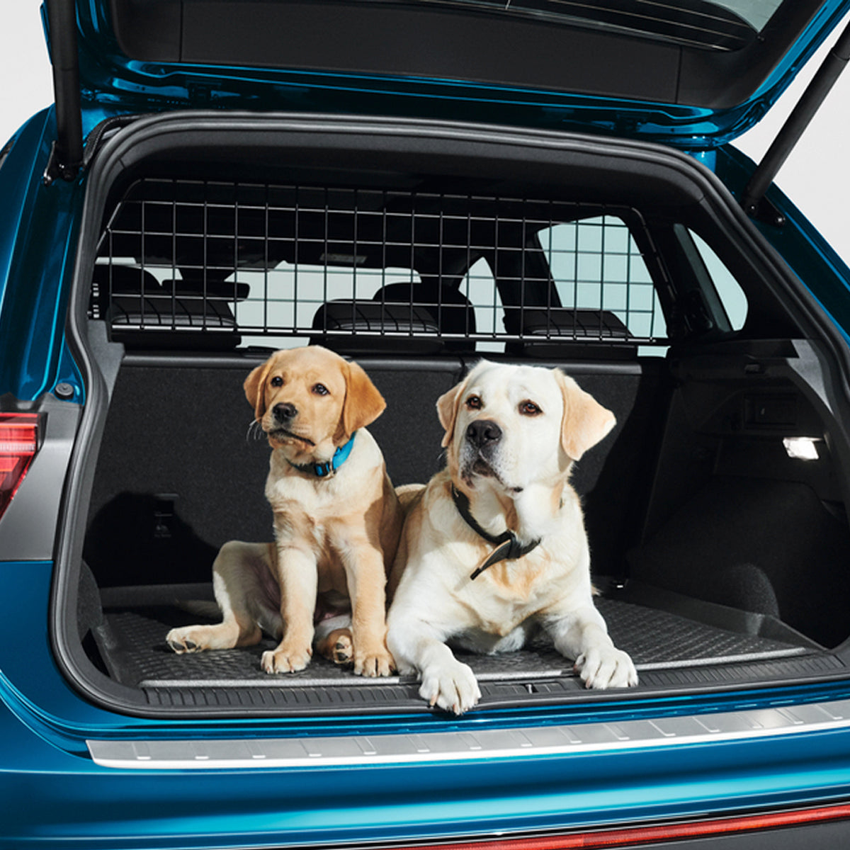 Volkswagen - Dog Partition guards – Shop JCT600