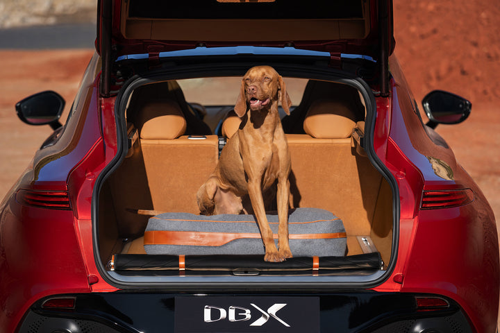 Aston Martin Car Dog Bed