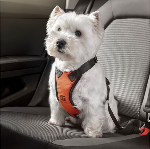 SEAT - Safety dog harness